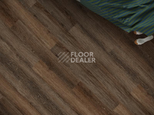 Кварцвиниловые полы Ecoclick Rich клеевой 2.5мм NOX-2077 Дуб Визна фото 1 | FLOORDEALER